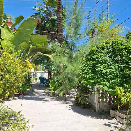 Amanda'S Place Green Studio - Pool And Tropical Garden Caye Caulker Exterior foto
