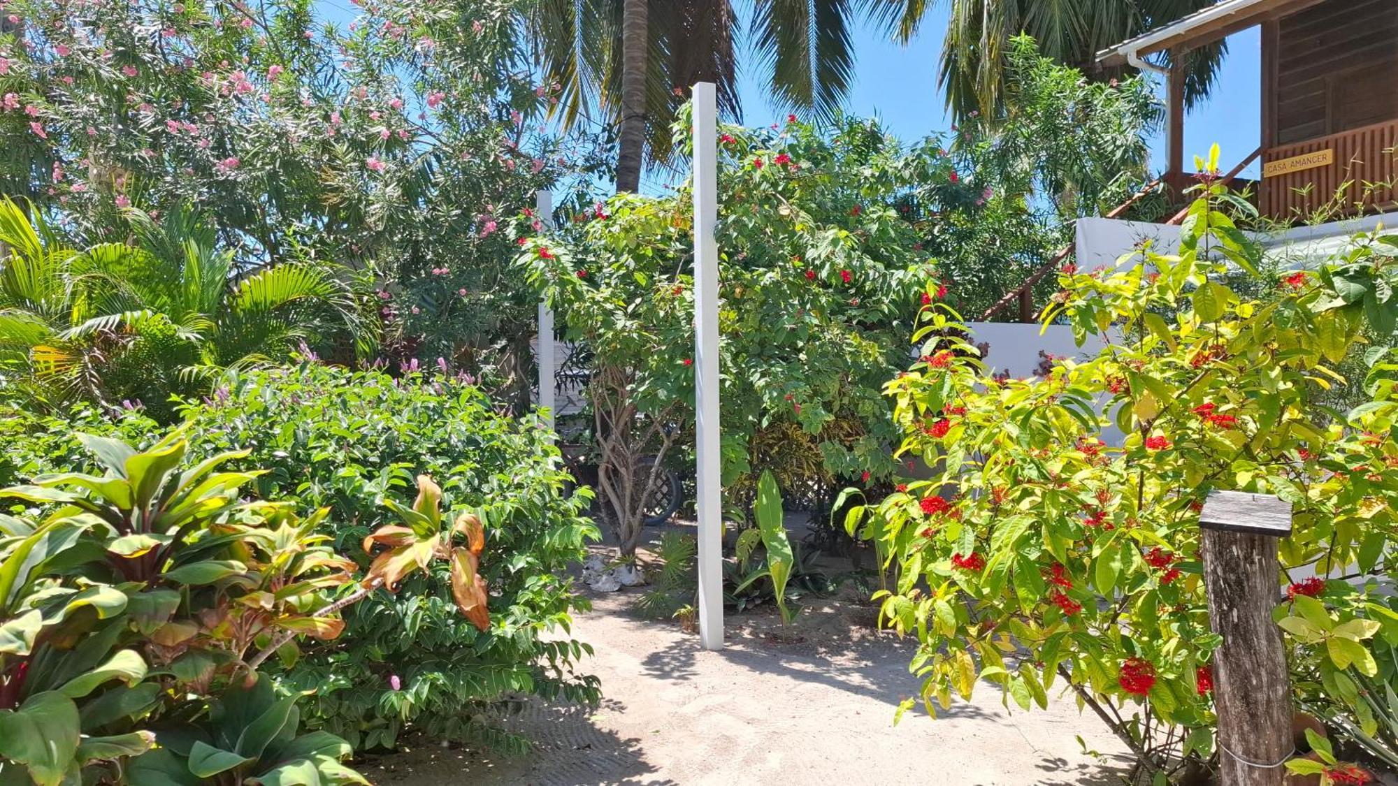 Amanda'S Place Green Studio - Pool And Tropical Garden Caye Caulker Exterior foto